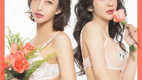 花絮影单流畅